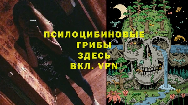 кокаин Белокуриха