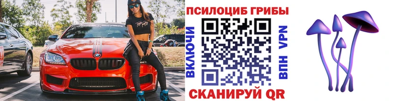 Галлюциногенные грибы GOLDEN TEACHER  Болгар 
